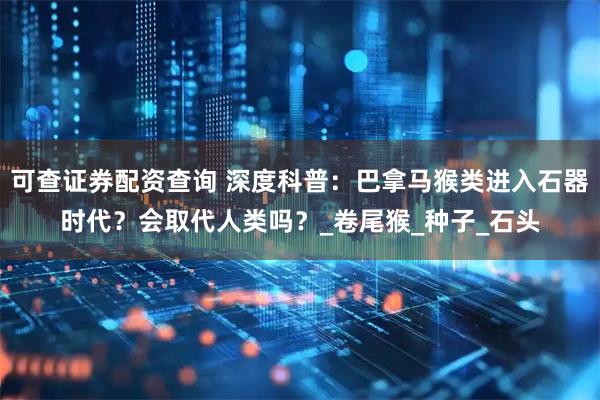 可查证券配资查询 深度科普：巴拿马猴类进入石器时代？会取代人类吗？_卷尾猴_种子_石头