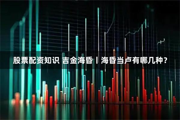 股票配资知识 吉金海昏丨海昏当卢有哪几种？